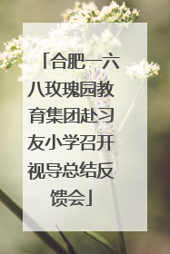 合肥一六八玫瑰园教育集团赴习友小学召开视导总结反馈会