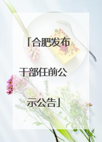 合肥发布干部任前公示公告