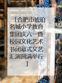 合肥市琥珀名城小学教育集团庆六一暨校园文化艺术节闭幕式文艺汇演圆满举行