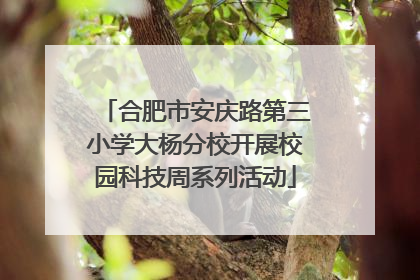 合肥市安庆路第三小学大杨分校开展校园科技周系列活动