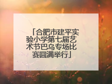 合肥市建平实验小学第七届艺术节巴乌专场比赛圆满举行