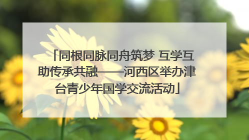 同根同脉同舟筑梦 互学互助传承共融——河西区举办津台青少年国学交流活动