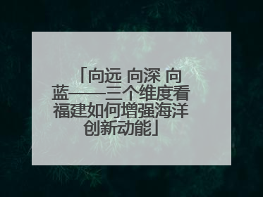 向远 向深 向蓝——三个维度看福建如何增强海洋创新动能