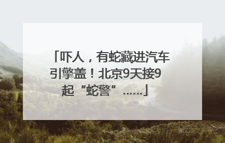 吓人，有蛇藏进汽车引擎盖！北京9天接9起“蛇警”……
