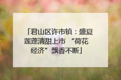 君山区许市镇：盛夏莲蓬清甜上市 “荷花经济”飘香不断