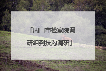 周口市检察院调研组到扶沟调研