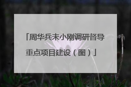 周华兵未小刚调研督导重点项目建设（图）