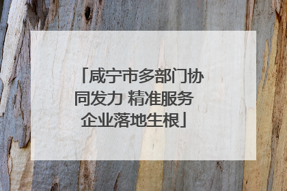 咸宁市多部门协同发力 精准服务企业落地生根