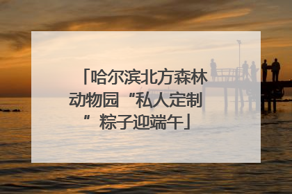 哈尔滨北方森林动物园“私人定制”粽子迎端午