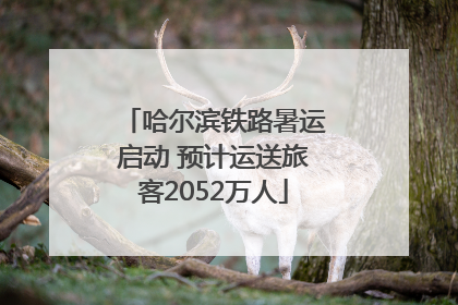 哈尔滨铁路暑运启动 预计运送旅客2052万人