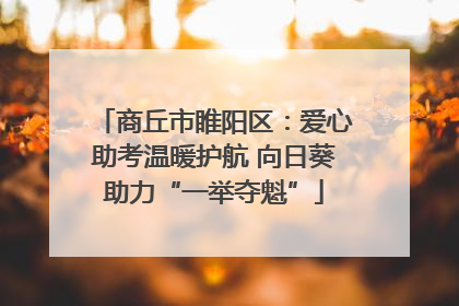 商丘市睢阳区：爱心助考温暖护航 向日葵助力“一举夺魁”