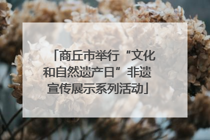 商丘市举行“文化和自然遗产日”非遗宣传展示系列活动