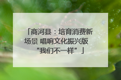 商河县：培育消费新场景 唱响文化振兴版“我们不一样”