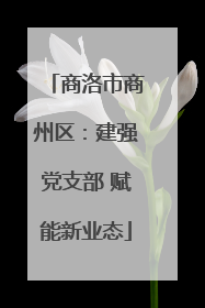 商洛市商州区：建强党支部 赋能新业态