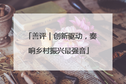善评｜创新驱动，奏响乡村振兴最强音