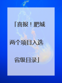 喜报！肥城两个项目入选省级目录