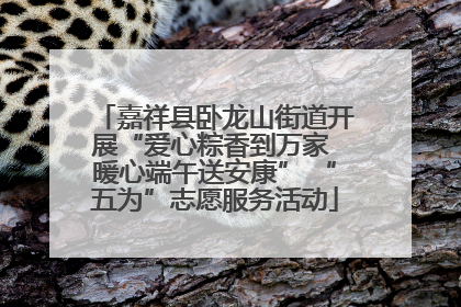 嘉祥县卧龙山街道开展“爱心粽香到万家 暖心端午送安康” “五为”志愿服务活动