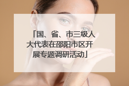 国、省、市三级人大代表在邵阳市区开展专题调研活动