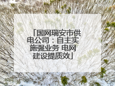 国网瑞安市供电公司：自主实施强业务 电网建设提质效