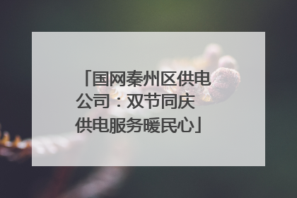 国网秦州区供电公司：双节同庆 供电服务暖民心