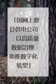 国网上蔡县供电公司：以高质量数据治理 助推数字化转型