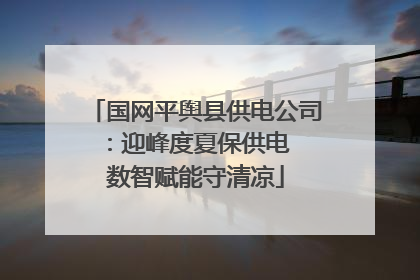 国网平舆县供电公司：迎峰度夏保供电  数智赋能守清凉