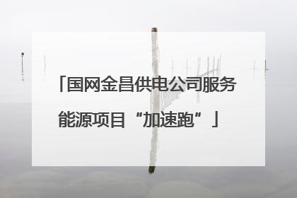 国网金昌供电公司服务能源项目“加速跑”