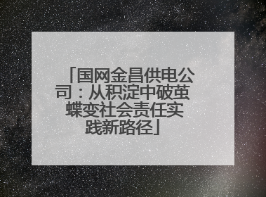 国网金昌供电公司：从积淀中破茧 蝶变社会责任实践新路径