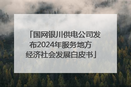 国网银川供电公司发布2024年服务地方经济社会发展白皮书