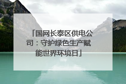 国网长泰区供电公司：守护绿色生产赋能世界环境日