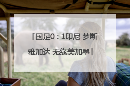 国足0∶1印尼 梦断雅加达 无缘美加墨