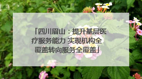 四川眉山：提升基层医疗服务能力 实现机构全覆盖转向服务全覆盖