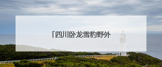 四川卧龙雪豹野外调查获得新进展