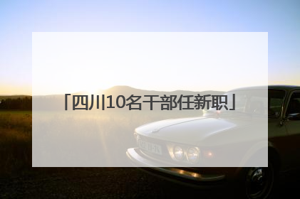 四川10名干部任新职