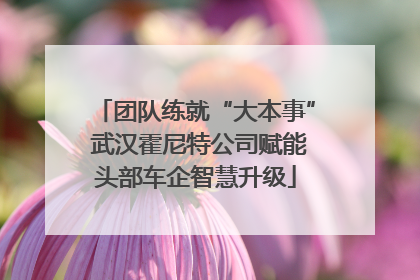 团队练就“大本事” 武汉霍尼特公司赋能头部车企智慧升级