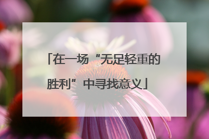 在一场“无足轻重的胜利”中寻找意义