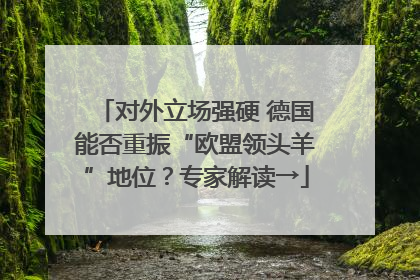对外立场强硬 德国能否重振“欧盟领头羊”地位？专家解读→