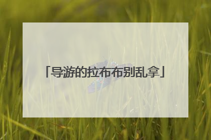导游的拉布布别乱拿