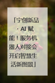 宁创新品・AI 赋能！服务机器人对接会开启智慧生活新图景