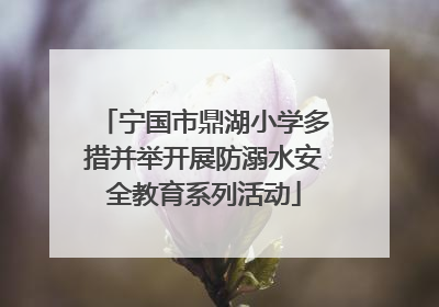 宁国市鼎湖小学多措并举开展防溺水安全教育系列活动