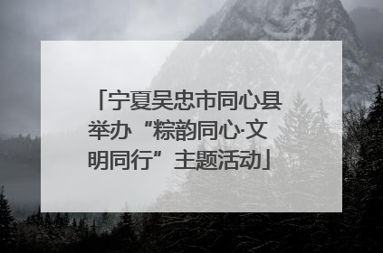 宁夏吴忠市同心县举办“粽韵同心·文明同行”主题活动