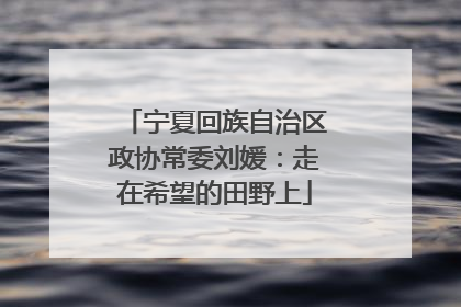 宁夏回族自治区政协常委刘媛：走在希望的田野上