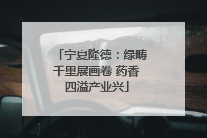 宁夏隆德：绿畴千里展画卷 药香四溢产业兴