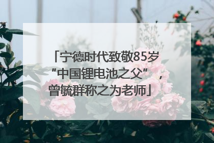 宁德时代致敬85岁“中国锂电池之父”，曾毓群称之为老师