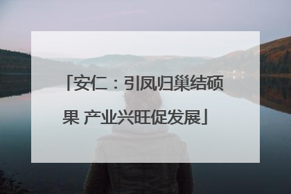 安仁：引凤归巢结硕果 产业兴旺促发展