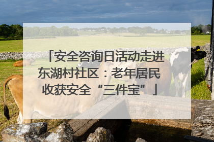 安全咨询日活动走进东湖村社区：老年居民收获安全“三件宝”