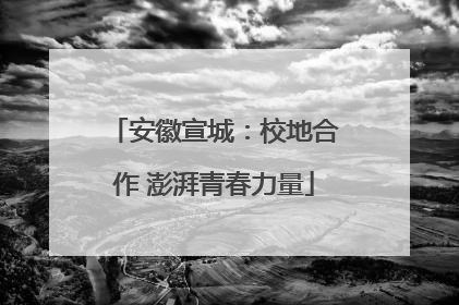 安徽宣城：校地合作 澎湃青春力量