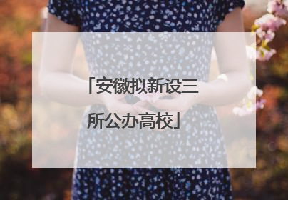 安徽拟新设三所公办高校