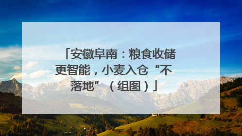 安徽阜南：粮食收储更智能，小麦入仓“不落地”（组图）