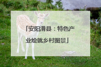 安阳滑县：特色产业绘就乡村图景
